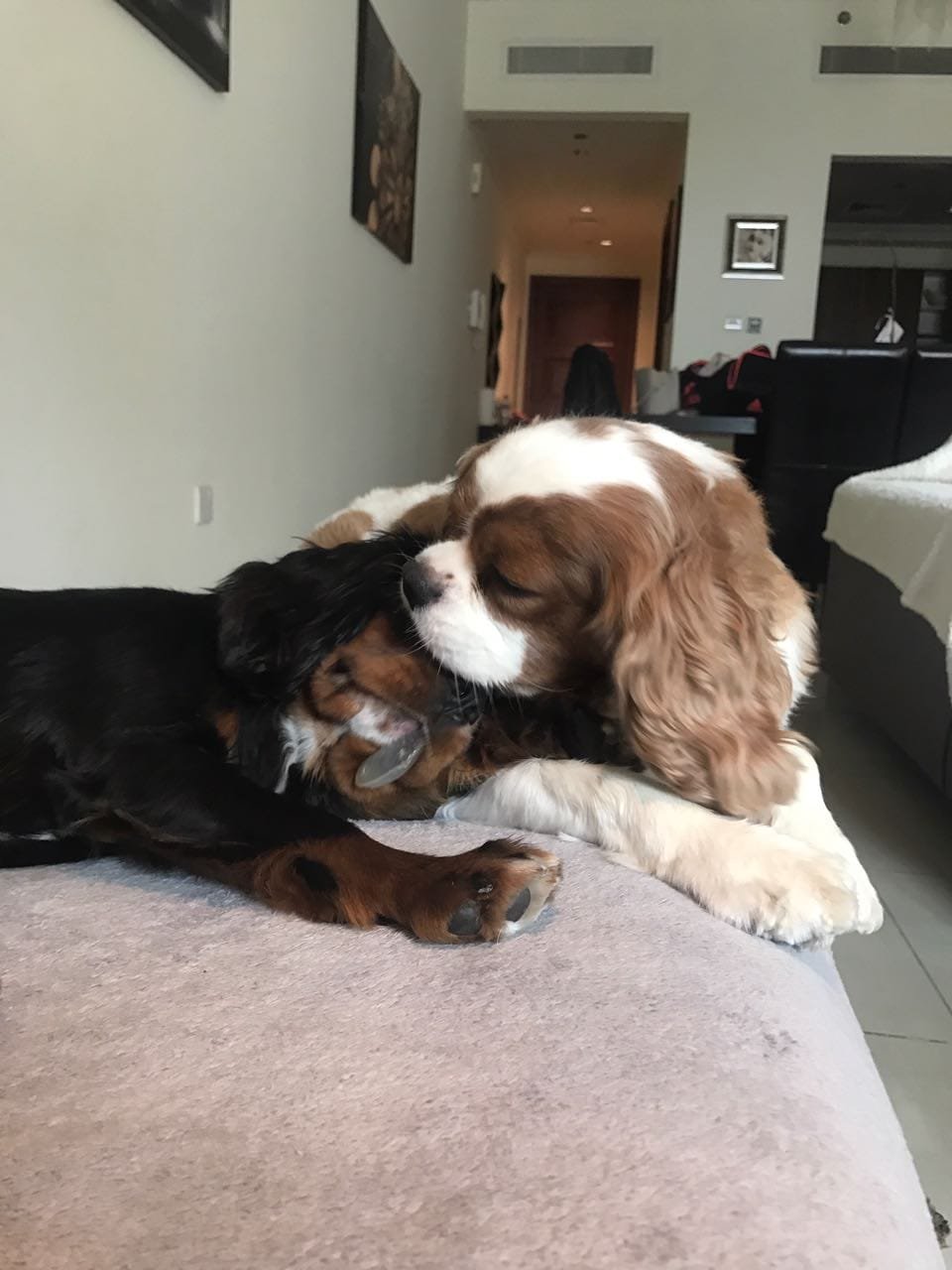 Harry & Henry