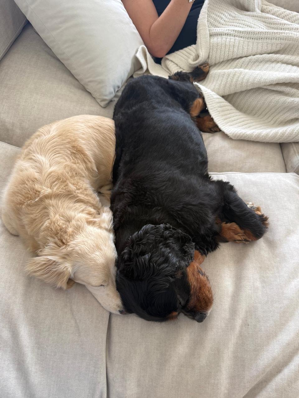 Wilson & Harry