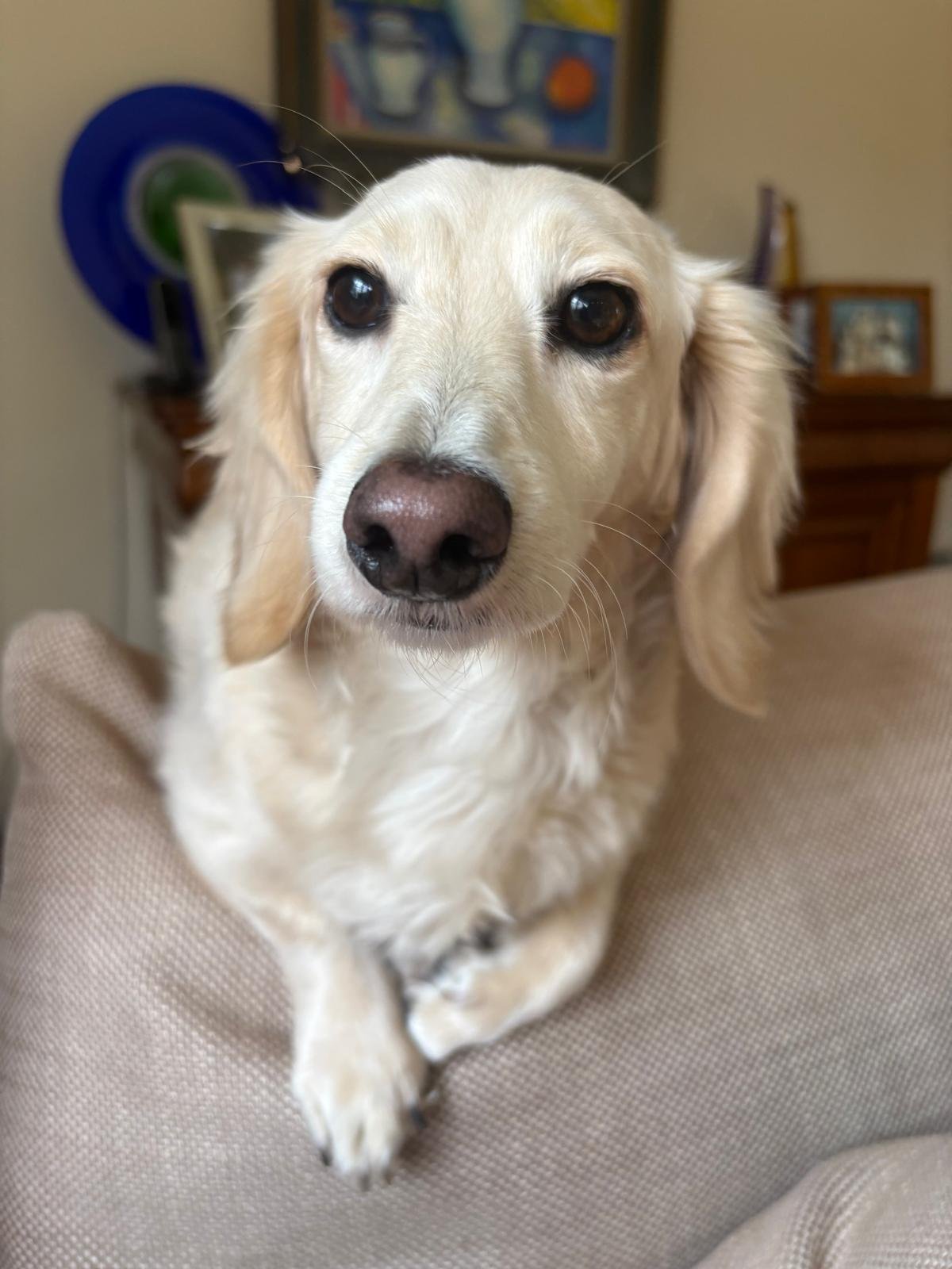 Wilson